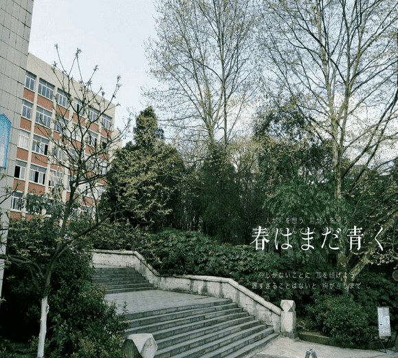 貴州工業(yè)職業(yè)技術學院中專部學校簡介