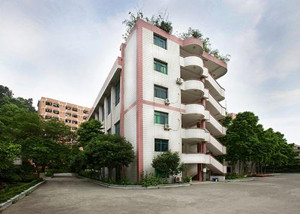 重慶市護士學校圖片