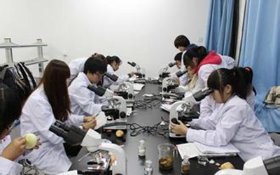 在重慶衛(wèi)生學校學習護理專業(yè)可以考藥師嗎