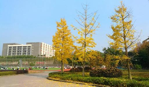 重慶市醫(yī)藥衛(wèi)生學(xué)校3+2學(xué)制2019年招生計(jì)劃