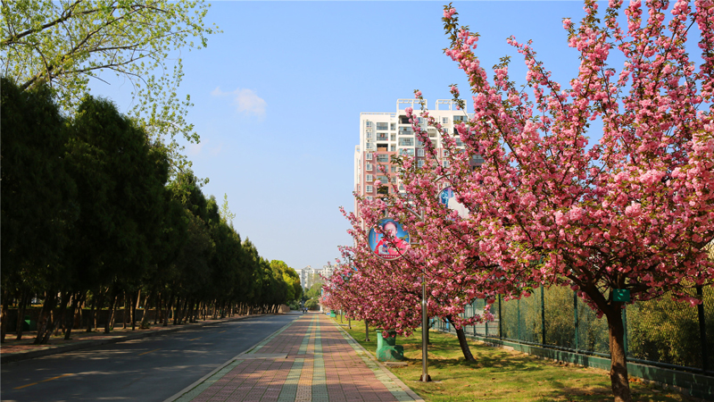 湖北信息工程學(xué)校環(huán)境圖