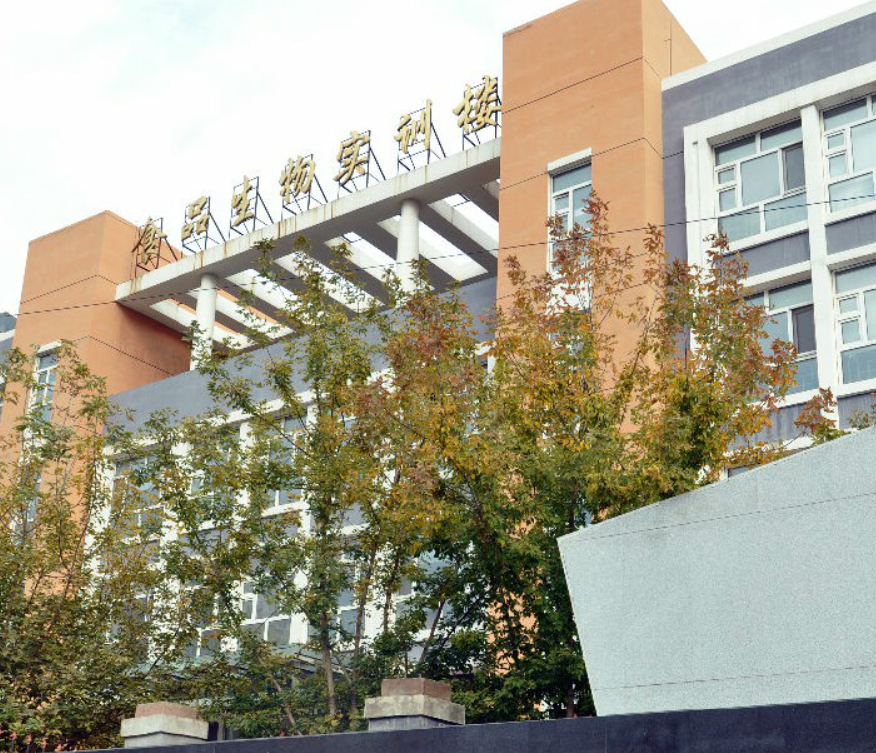 哈爾濱輕工業(yè)學(xué)校環(huán)境、學(xué)校圖片