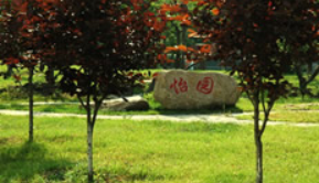 齊齊哈爾林業(yè)學(xué)校環(huán)境、學(xué)校圖片