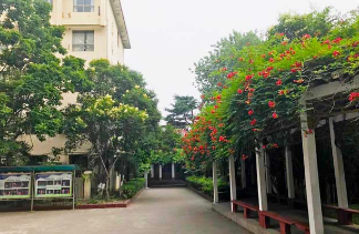 連云港市藝術(shù)學校