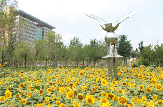 萊蕪市旅游學校