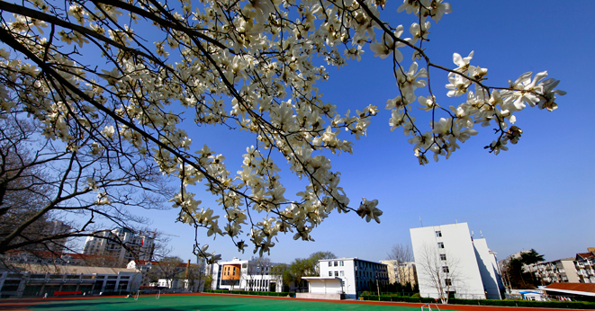 濰坊市經(jīng)濟學校
