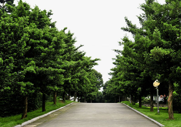 北流市第一中等職業(yè)技術(shù)學(xué)校