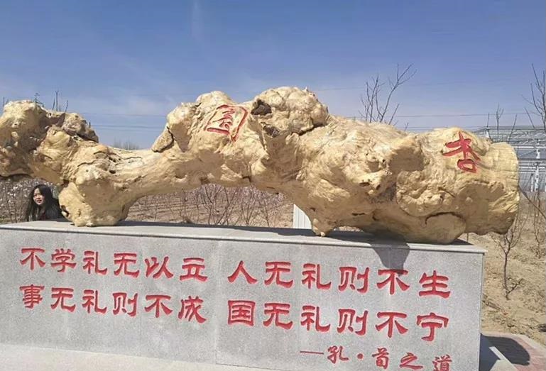 臺安縣職業(yè)教育中心