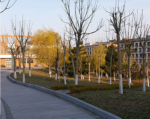 甘肅省水利水電學校
