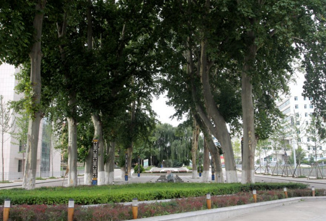 甘肅林業(yè)職業(yè)技術(shù)學(xué)院