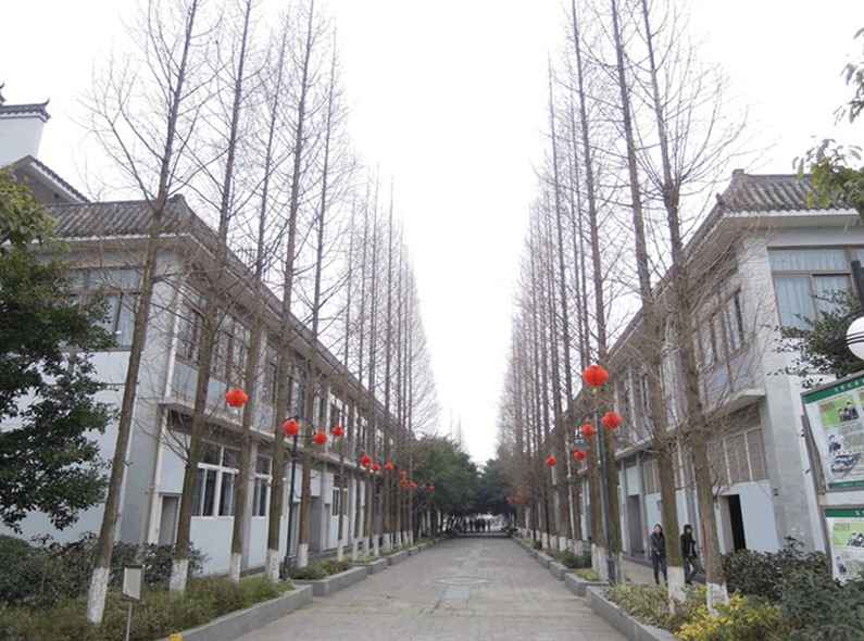 校園