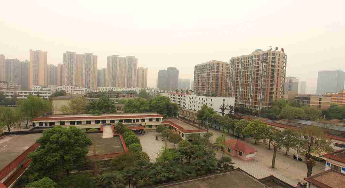 校園風(fēng)光