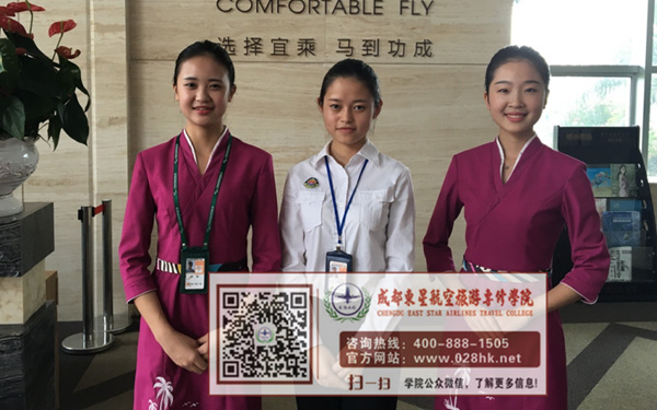 四川航空學院成都東星航空學院