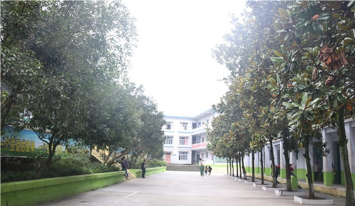 資中電子工程職業(yè)技術(shù)學(xué)校圖片、照片
