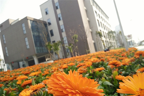 內江市東興區(qū)志翔職業(yè)技術學校圖片、照片