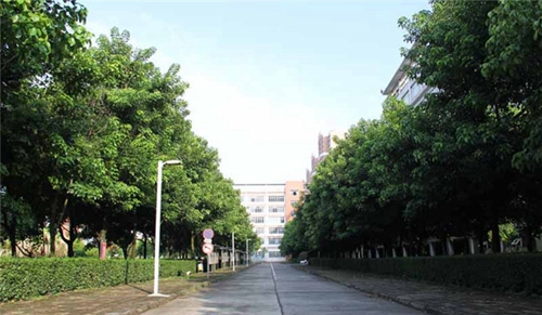 四川省南充外國語中等專業(yè)學(xué)校圖片、照片