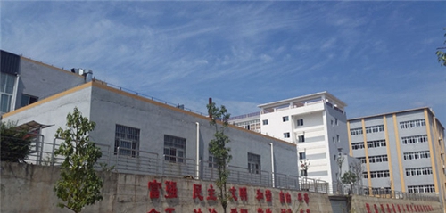 四川省蒼溪縣職業(yè)高級(jí)中學(xué)(蒼溪職中)圖片、照片