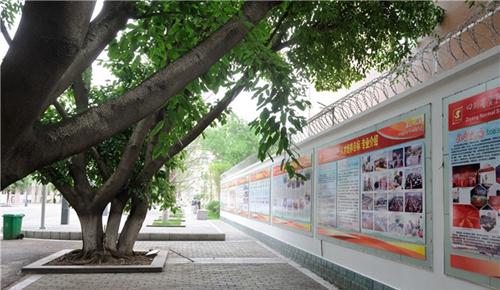四川省資陽(yáng)師范學(xué)校圖片、照片