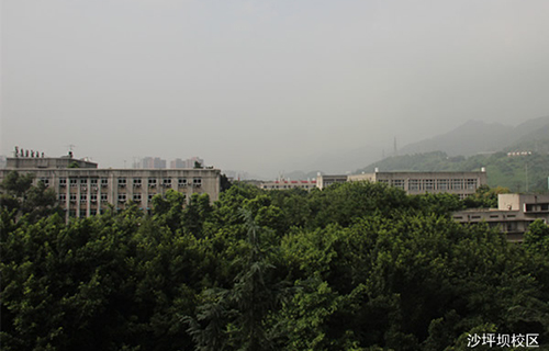 重慶知行衛(wèi)生學(xué)校沙坪壩圖片、照片