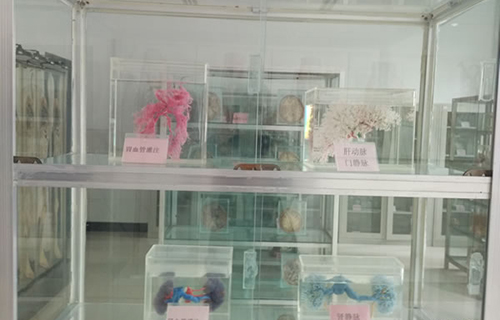 重慶知行衛(wèi)生學(xué)校實訓(xùn)設(shè)備圖片