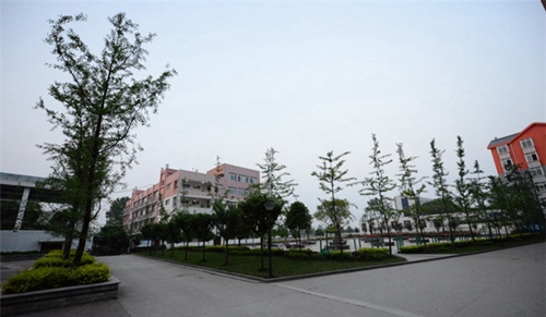 瀘縣建筑職業(yè)中專學校(瀘縣建校)圖片、照片