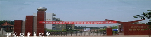 宜賓縣柳嘉職業(yè)技術(shù)學(xué)校圖片、照片