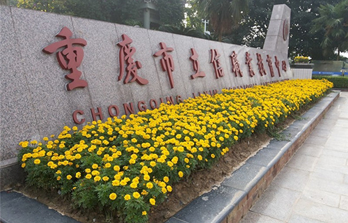重慶市立信職業(yè)教育中心圖片、照片
