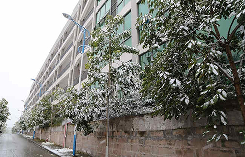 重慶市榮昌區(qū)職業(yè)教育中心圖片、照片