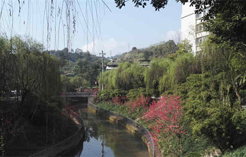重慶市輕工業(yè)學校圖片、照片
