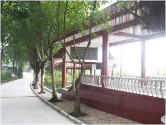 重慶市行知職業(yè)技術(shù)學(xué)校圖片、照片