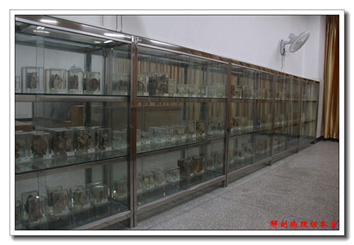 重慶醫(yī)藥學(xué)校（長壽衛(wèi)校）解剖病理標(biāo)本室