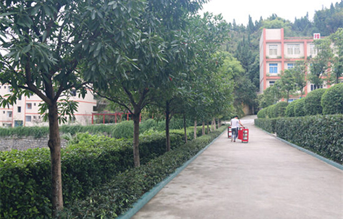 重慶涪陵信息技術(shù)學(xué)?；▓@