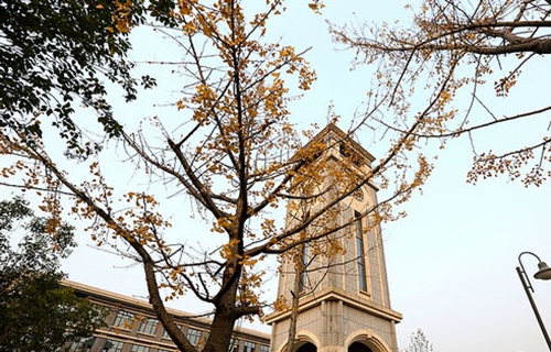 重慶財政學(xué)校之秋葉