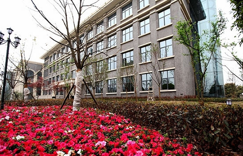 重慶財政學(xué)校之映山紅