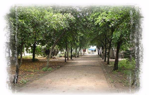 重慶鐵路運(yùn)輸技師學(xué)院學(xué)校環(huán)境