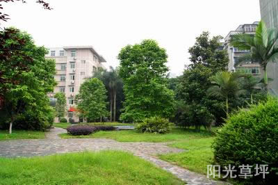 重慶機電工程技工學校陽光草坪