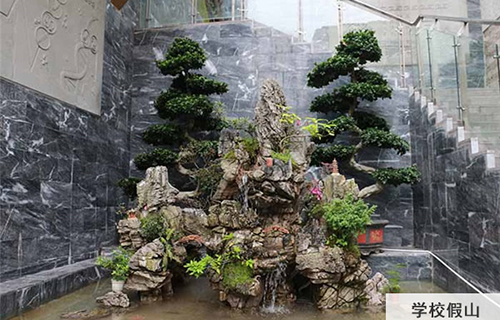 重慶醫(yī)藥經(jīng)貿(mào)學(xué)校假山風(fēng)景