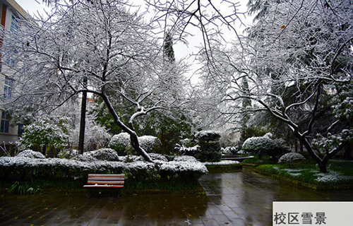重慶春琿人文技工學校校區(qū)雪景圖片