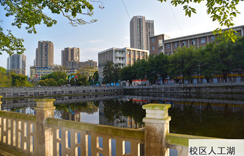 重慶春琿人文技工學校校區(qū)人工湖圖片
