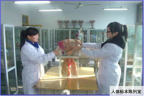 重慶渝東技工學(xué)校學(xué)生人體標本陳列室圖片