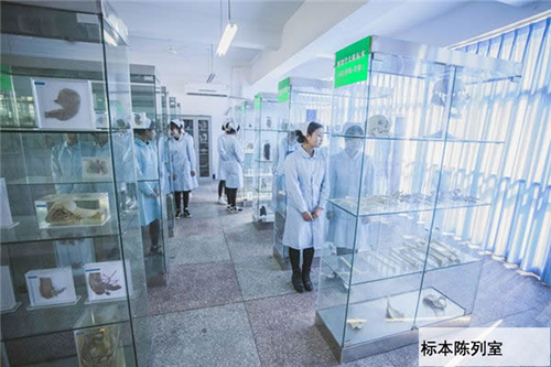 重慶渝東技工學(xué)校標本陳列室圖片