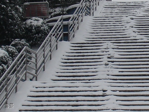 貴州盤江技校(貴州盤江投資控股集團有限公司技工學校)雪景