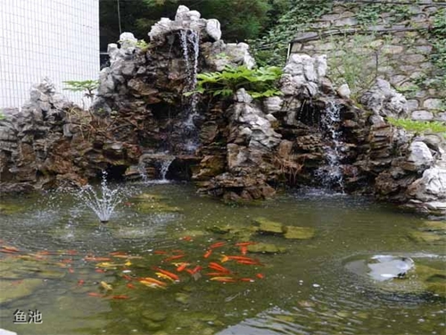 貴州盤江技校(貴州盤江投資控股集團有限公司技工學校)魚池