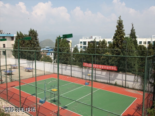 貴州盤江技校(貴州盤江投資控股集團有限公司技工學校)塑膠羽毛球場