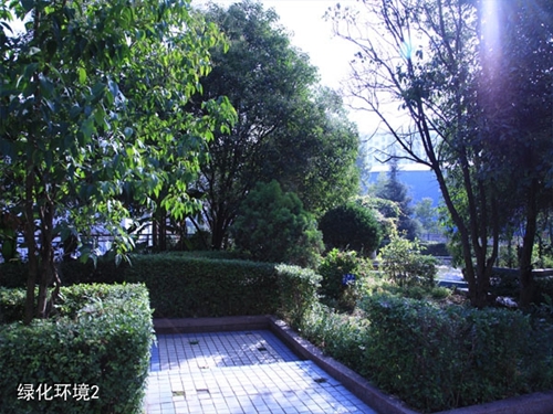 貴州盤江技校(貴州盤江投資控股集團有限公司技工學校)綠化環(huán)境2