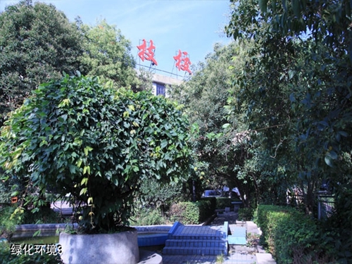 貴州盤江技校(貴州盤江投資控股集團有限公司技工學校)綠化環(huán)境3