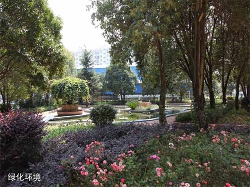 貴州盤江技校(貴州盤江投資控股集團有限公司技工學校)綠化環(huán)境