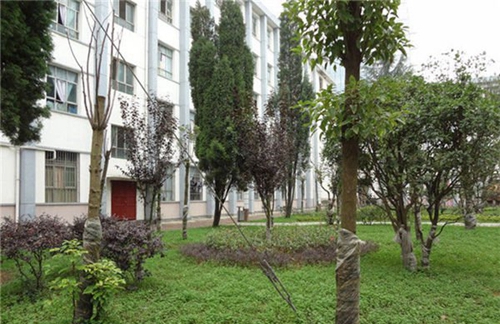 貴陽市白云區(qū)職業(yè)技術(shù)學(xué)校校園綠化
