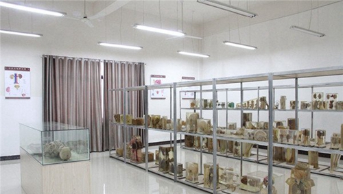 貴州工程職業(yè)學院護理專業(yè)實訓設備