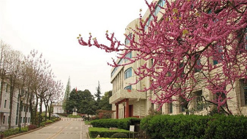 貴州交通技師學院(貴州省交通運輸學校)校園環(huán)境